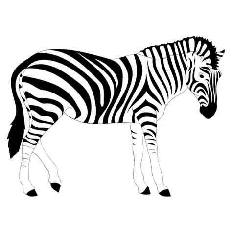 Download 752+ Zebra SVG Free Printable